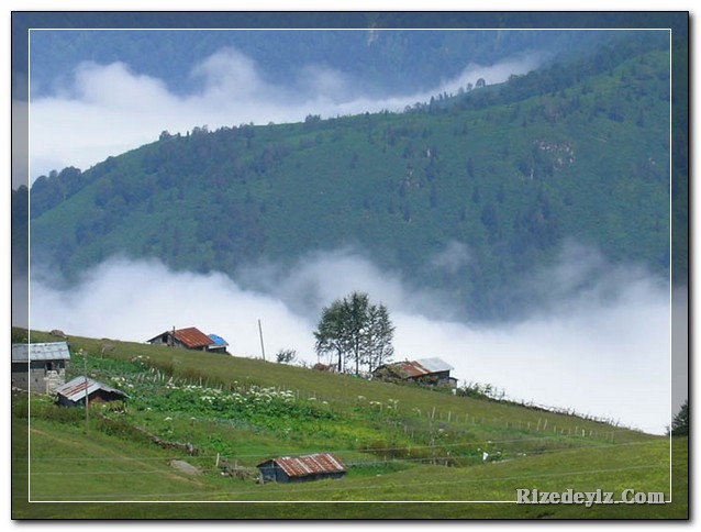 Ceyhun Kalender'in objektifinden Handüzü Fotoğrafları