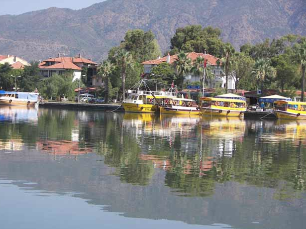 Köyceğiz, tarih ve doğa...

Bir liman kenti olarak tarihi 4 bin yıla dayanan şehrin, tercih edebileceğiniz çok farklı özellikleri bulunuyor. Örneğin, Sultaniye köyunde termal kaplıcalara gidebilir, Yayla köyü ve Gökçeova'da safari yapabilirsiniz.