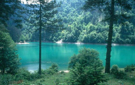 Doğanın kucağında bir düş

Bolu'nun yanıbaşında kıvrıla kıvrıla çıkan bir yolla ulaşılan Gölcük, bir minyatür göl olarak karşınıza çıkıyor. Daha büyük bir gölun yer aldığı Abant ise, keyifli bir yürüyüş yapmak, pedal çevirmek, fayton gezintisine çımak için ideal...