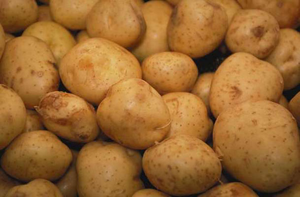 PATATES VE PANKREAS

Tatlı patatesin görünümü pankreasa benzer ve şeker hastalarının glisemik indeksini dengeler