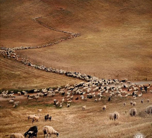 Fotoğrafçılık üzerine dersler veren Dmitry Zhamkova'nın son çalışması görenleri hayran bıraktı.