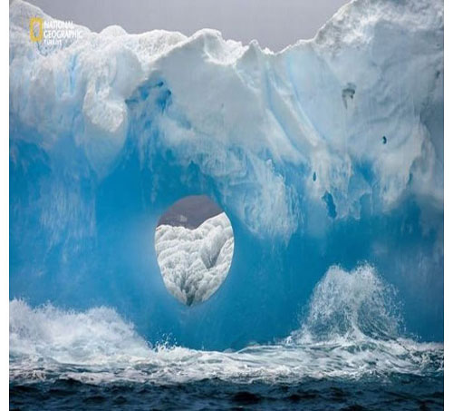 Dünyada en çok fotoğrafçı çalıştıran National Geographic yayınladığı bu fotoğraflarla da dikkatleri çekiyor. İşte National Geographic'in gözünden bir birinden ilginç fotoğraflarla doğal yaşam işte böyle görüntülendi.