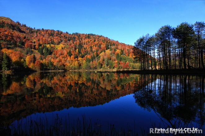 Karagöl Borçka Artvin