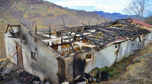 Ordu’da İki Ayrı Yangında, 400 Tavuk ile 9 Büyükbaş Telef Oldu