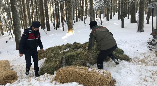 Düzce'de Yaban Hayvanları İçin Doğaya Yem Bırakıldı