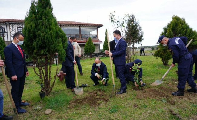 Çayeli'nde 320 Adet Fidan Toprakla Buluştu