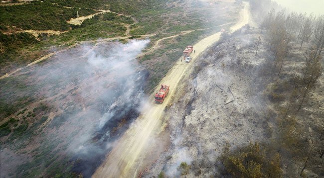 Ormanları Katledenlere Göz Açtırılmıyor