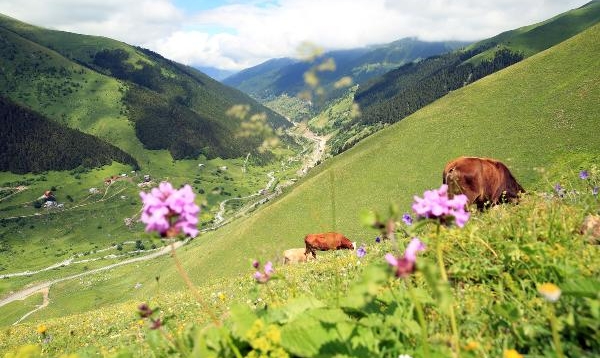 Karadeniz Turizmine Pandemi Sonrası 'Yeşil Yol' Dopingi