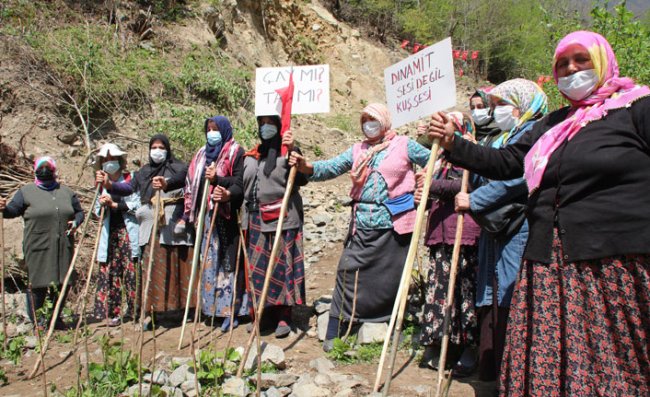 İkizdere'de 'Taş Ocağı' Tepkileri Sürüyor