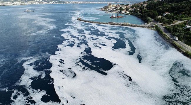 Bakan Kurum: Marmara Denizi'nden 8 Günde 3 Bin 288 Metreküp Müsilaj Temizlendi