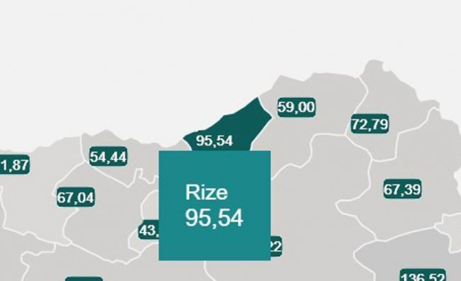 Doğu Karadeniz’de Vaka Sayısı En Fazla Olan İl Rize Oldu