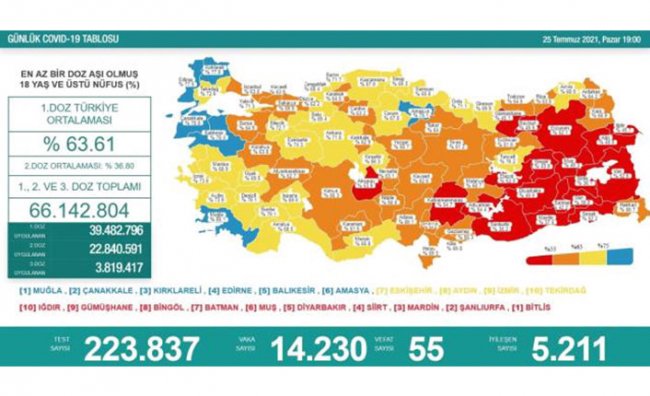 Karadeniz'de aşılamada 10 il sarı, 5 il turuncu, 2 il kırmızı, 1 il de mavi