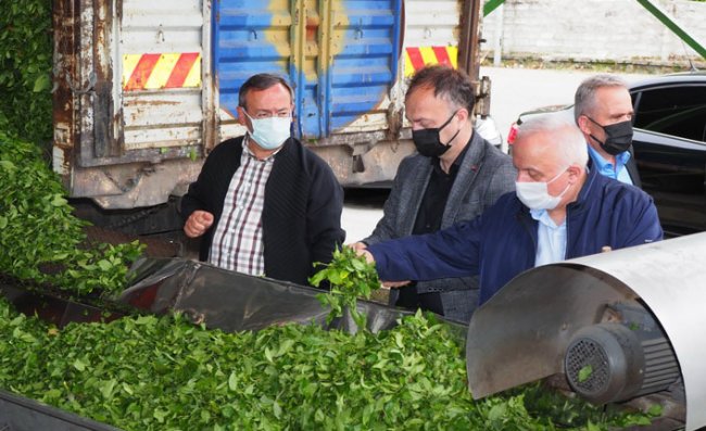 ÇAYKUR, 'Rekor' Yılını Yaşıyor