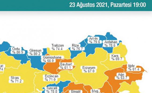 Rize 'Mavi' Kategoride