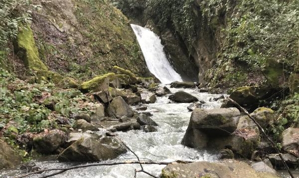 Bartın’da keşfedilen şelale turizme kazandırılacak