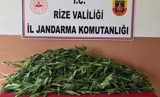 Rize'de evinde esrar ele geçirilen zanlı gözaltına alındı