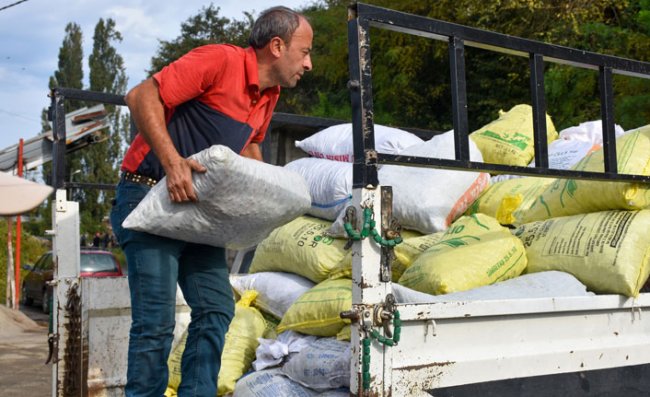 Üretici bu kez çay tohumu için bahçeye girdi