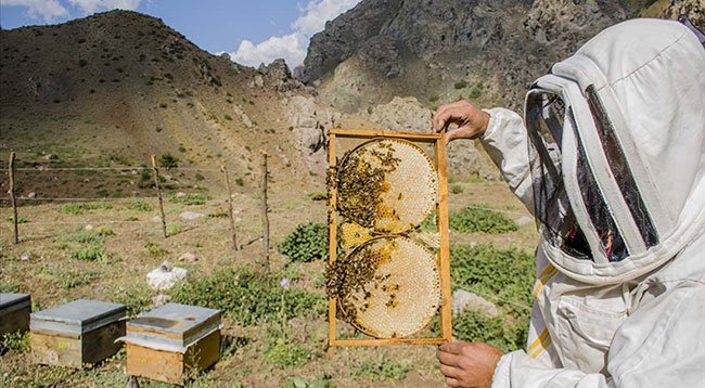 2021 yılı hayvancılık desteklemelerinin uygulama usul ve esasları belli oldu