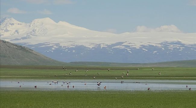 Türkiye, iklim krizi ile mücadelesini 'İklim Değişikliği Başkanlığı' ile güçlendirecek