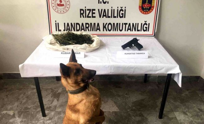 Rize'de uyuşturucu operasyonu: 2 gözaltı