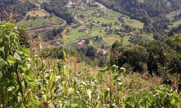 Bahçedeki eşini, domuz zannedip, öldüren koca: Islık çaldım, tepki gelmeyince ateş ettim