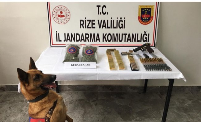 Rize'de jandarma ekiplerince son bir ayda 2 kilogram esrar ele geçirildi