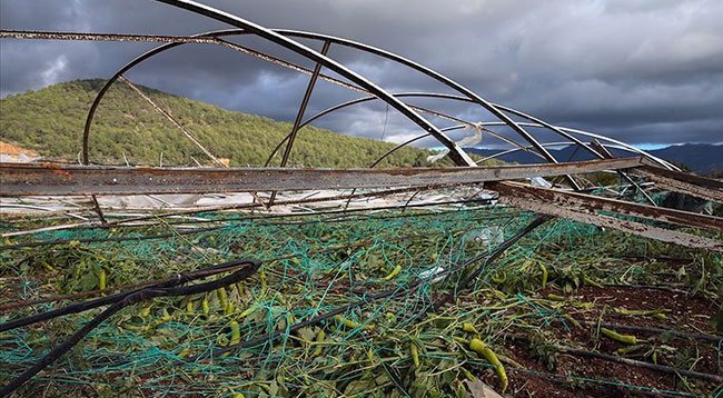 Karadeniz'de doğal afetlerde zarar gören çiftçilere 50 milyon lira ödeme yapıldı