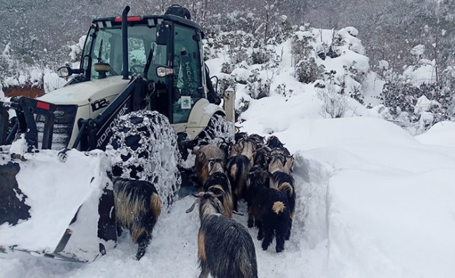 Rize'de Karda Mahsur Kalan 