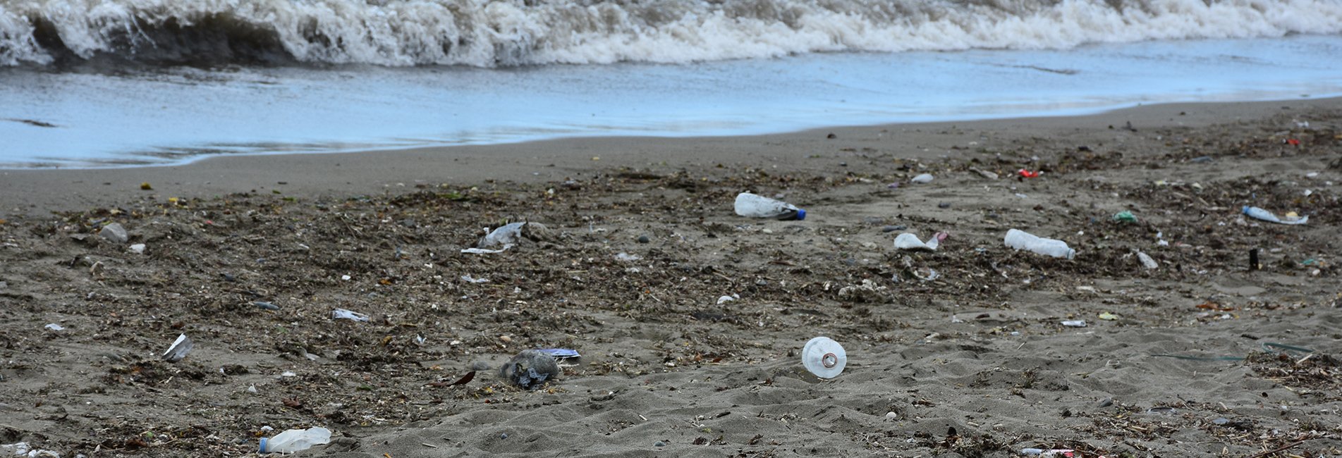 Karadenizde 15 Farklı Mikroplastik Tespit Edildi