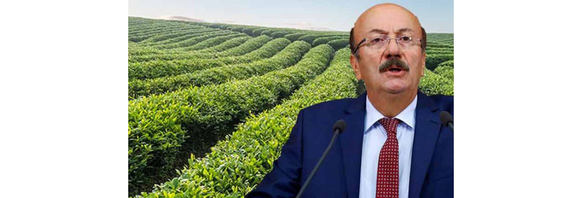 Bekaroğlu, Çay Üreticilerine Seslendi: Buna Karşı Çıkın
