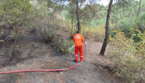 Karabük'te çıkan orman yangını söndürüldü