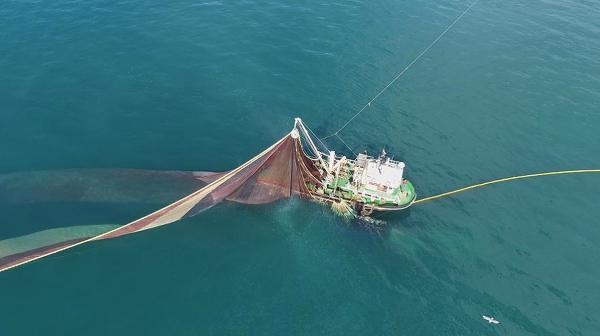 Karadeniz’de stoklar erken bitti, ağlar toplandı