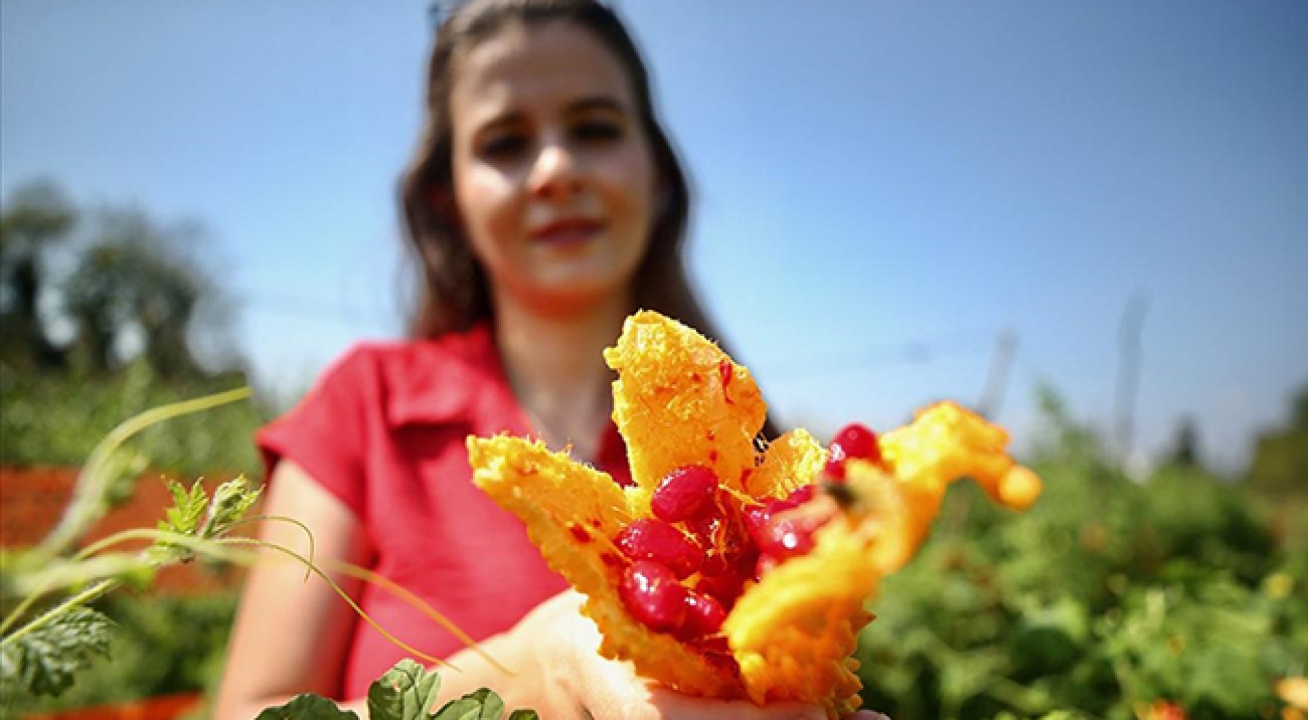 Yöneticilik kariyerini bırakan kimyager, köyünde tıbbi ve aromatik bitki üretiyor