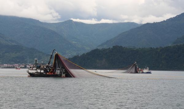 Karadeniz'de Deniz Suyu Sıcaklığı 2 Derece Arttı