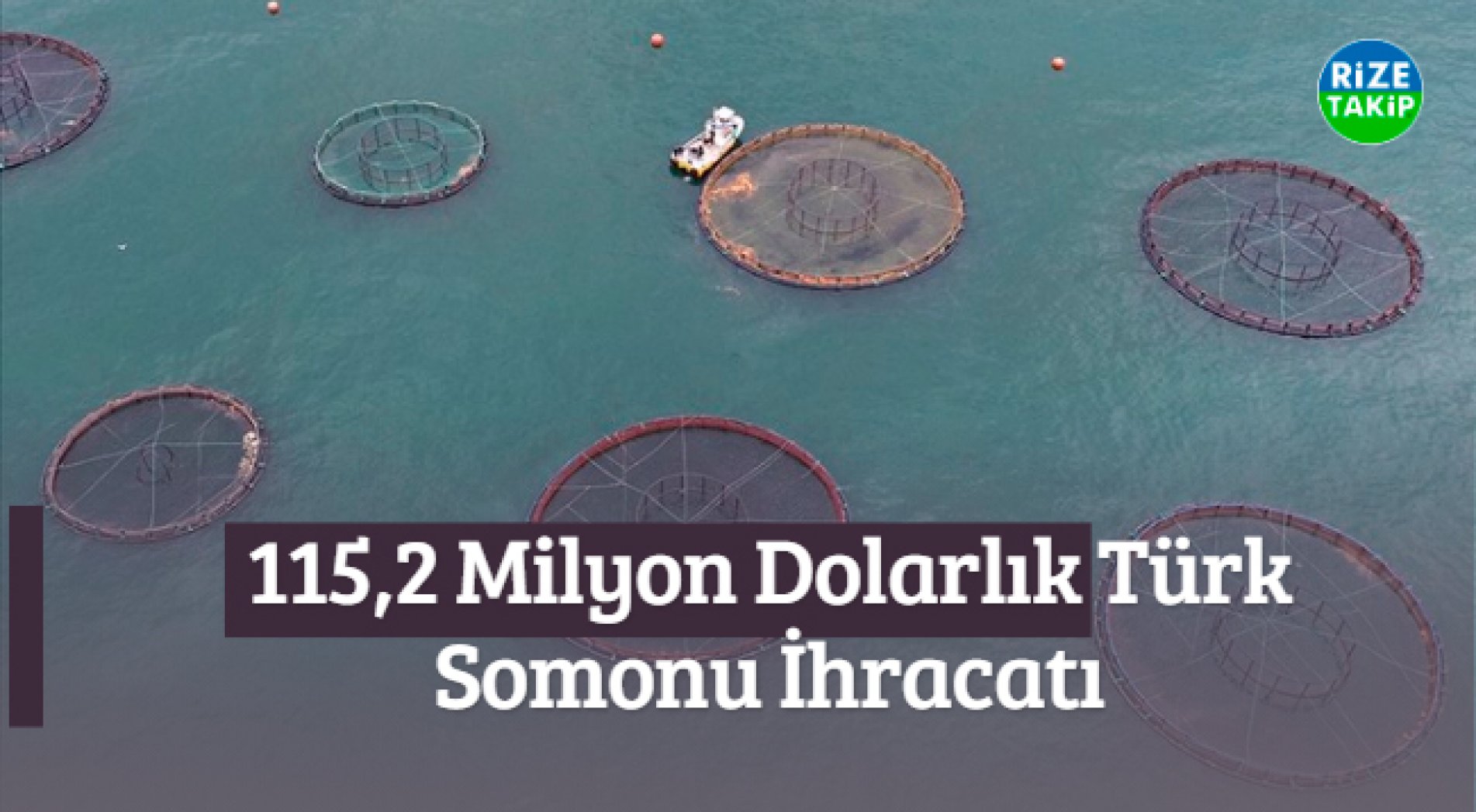 Karadeniz'den 10 Ayda 115,2 Milyon Dolarlık Türk Somonu İhracatı