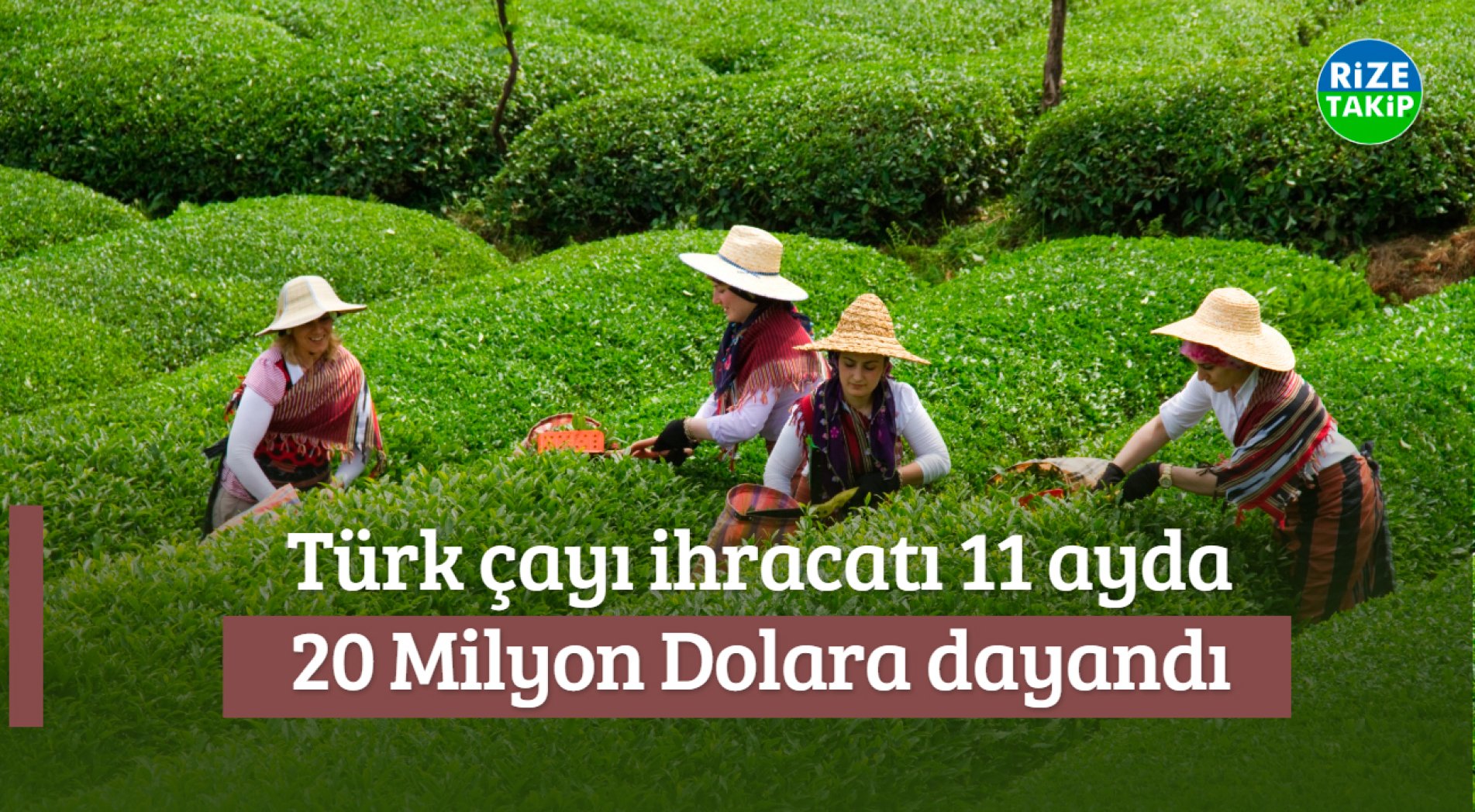 Türk Çayı İhracatı 11 Ayda 20 Milyon Dolara Dayandı