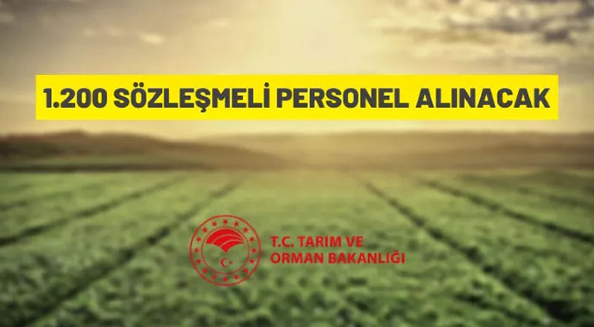 Tarım ve Orman Bakanlığı 1.200 Sözleşmeli Personel alacak