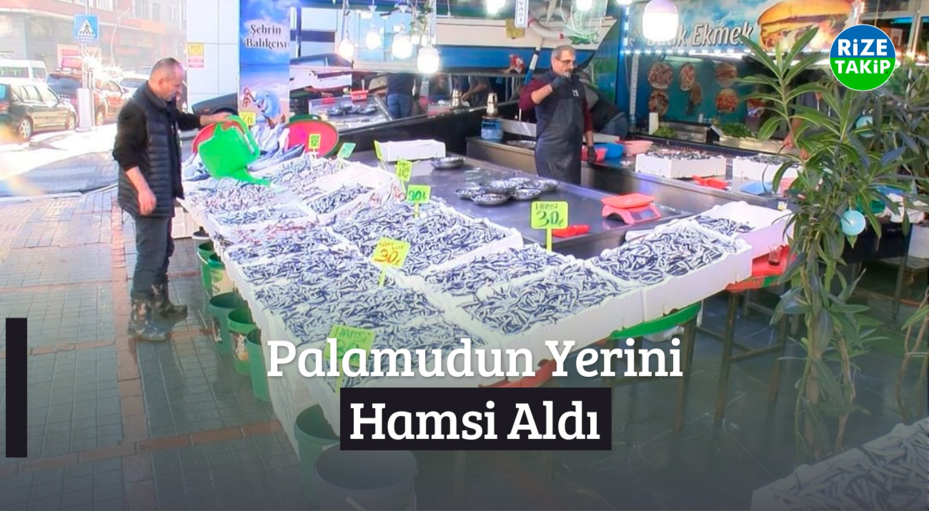 Palamudun Yerini Hamsi Aldı