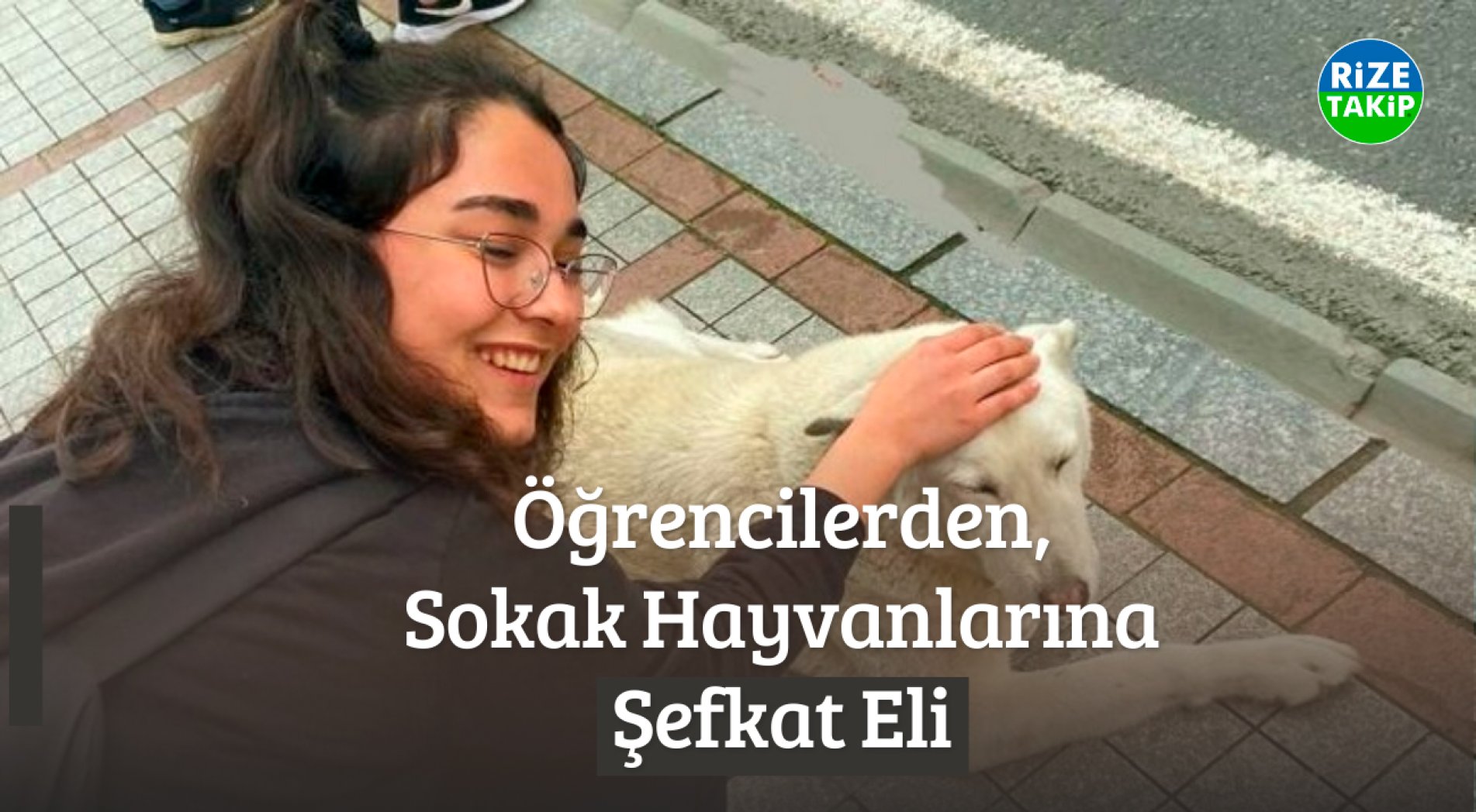 Öğrencilerden, Sokak Hayvanlarına Şefkat Eli