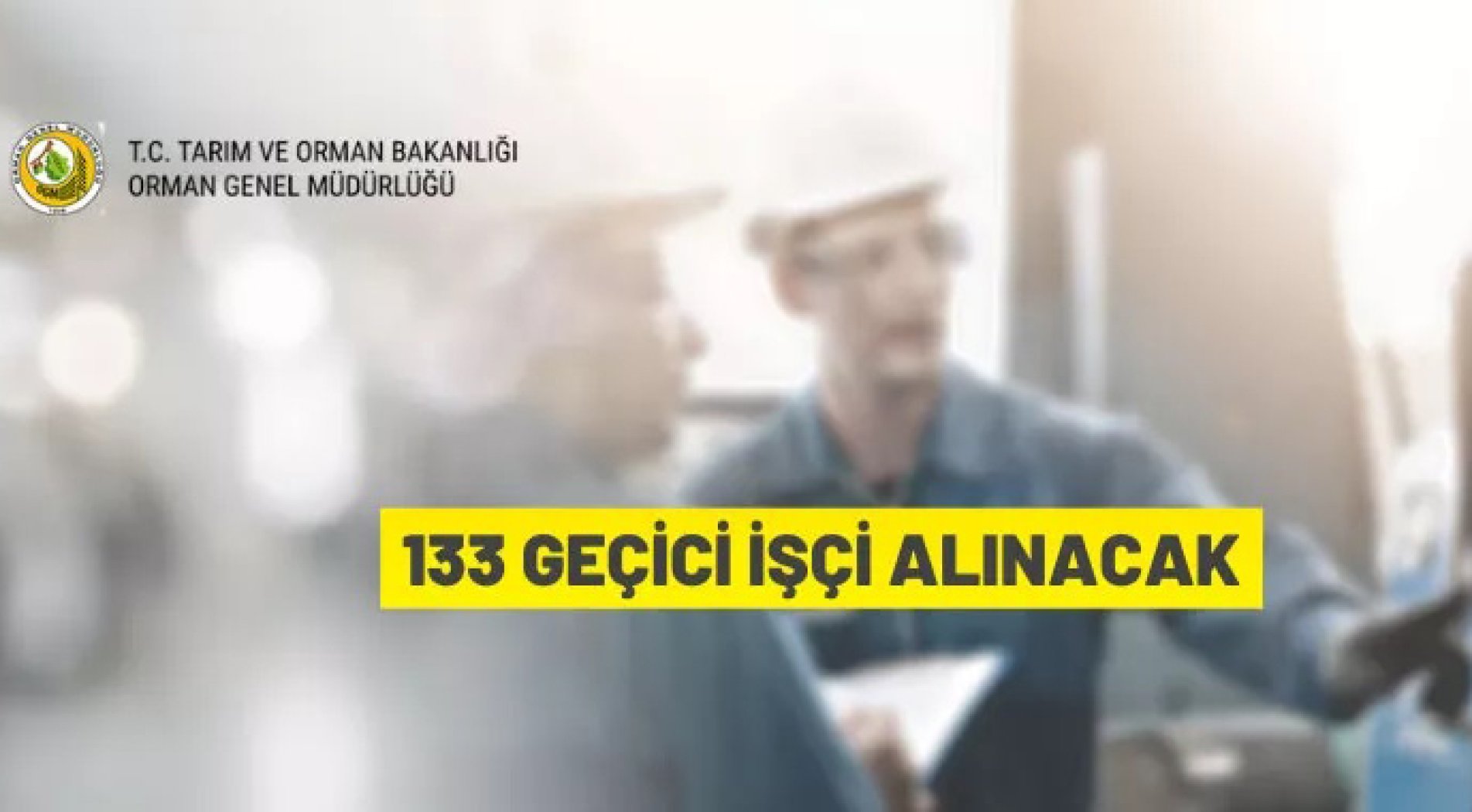 Orman Genel Müdürlüğü 131 Geçici İşçi alacak