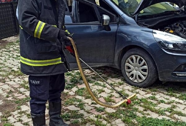 Otomobilin motorunda yakalanan yılan, doğal ortamına salındı