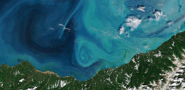 Karadeniz'in Turkuaza Bürünen Rengi Uzaydan Görülüyor