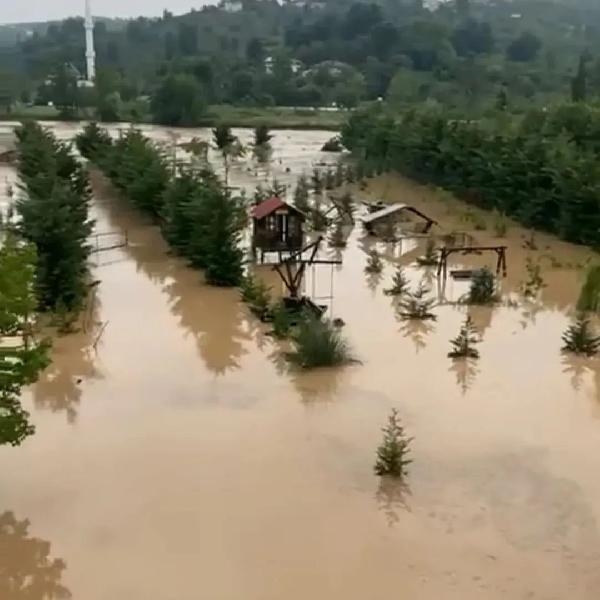 Ordu'da dere taştı; 2 iş yerini ve 10 evi su bastı