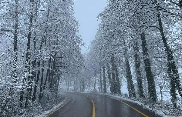 Ordu'da kar yağışı etkili oldu