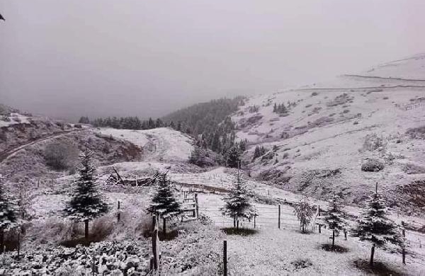 Ordu'nun yükseklerine kar yağdı