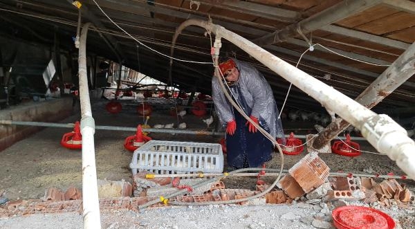 Düzce'de depremin yaraları sarılıyor