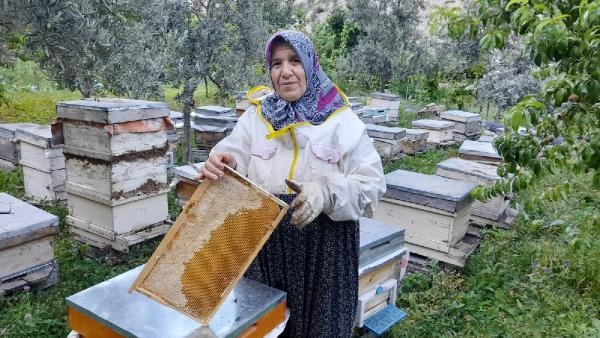 Artvin'de Gülsüm Nine, 25 yıldır arıcılık yapıyor