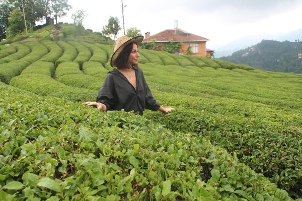 Rize’de 'Çay Turizmi' Bereketi