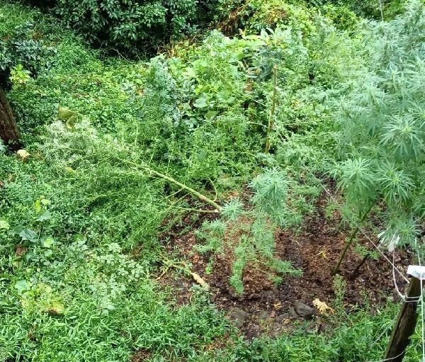 Sosyal Medyada Para Yaktı, Uyuşturucu Fotoğrafları Paylaştı; Tutuklandı