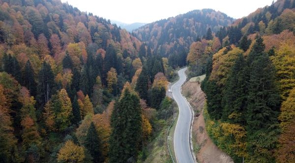 Karadeniz yaylalarında sonbahar renkleri